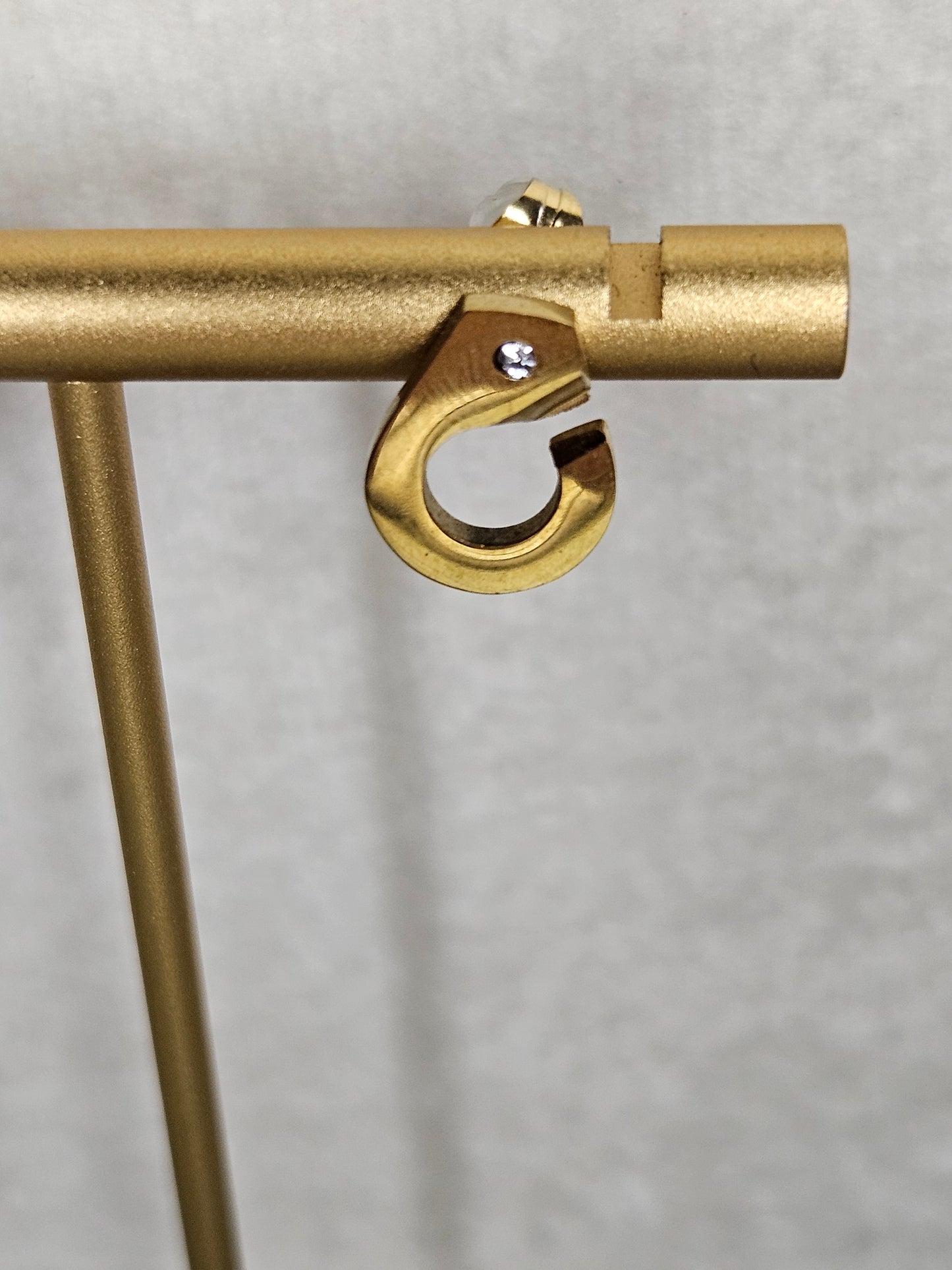 Boucles d'oreilles "Reflets sauvauges"